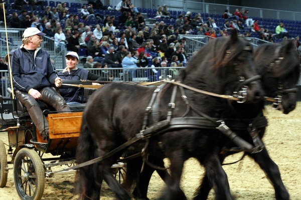 Pferd und Jagd 2008  080.jpg